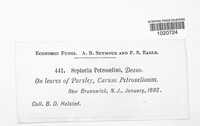 Image Associated With the Occurence